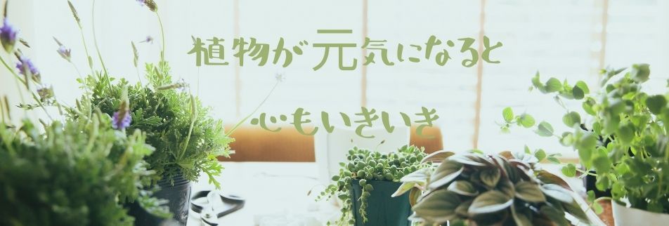 天然ミネラル商材通販 土壌改良なら有限会社ティケイエス